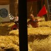MX-CUP AUSTRIA _ Stadlberg-Karlstift141